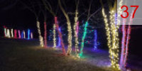 37 trunk Excelsior Springs MO Residential Lighting Holiday FX